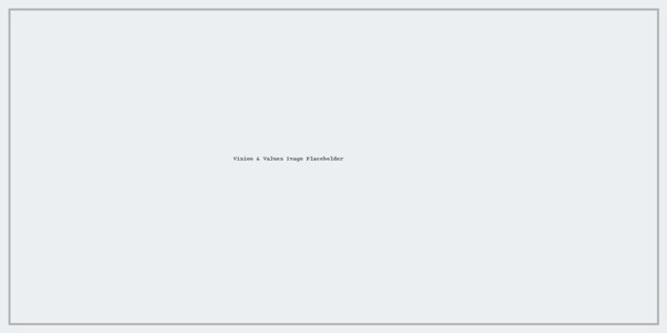 Vision and values placeholder image